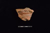 陶片藏品圖，第1張